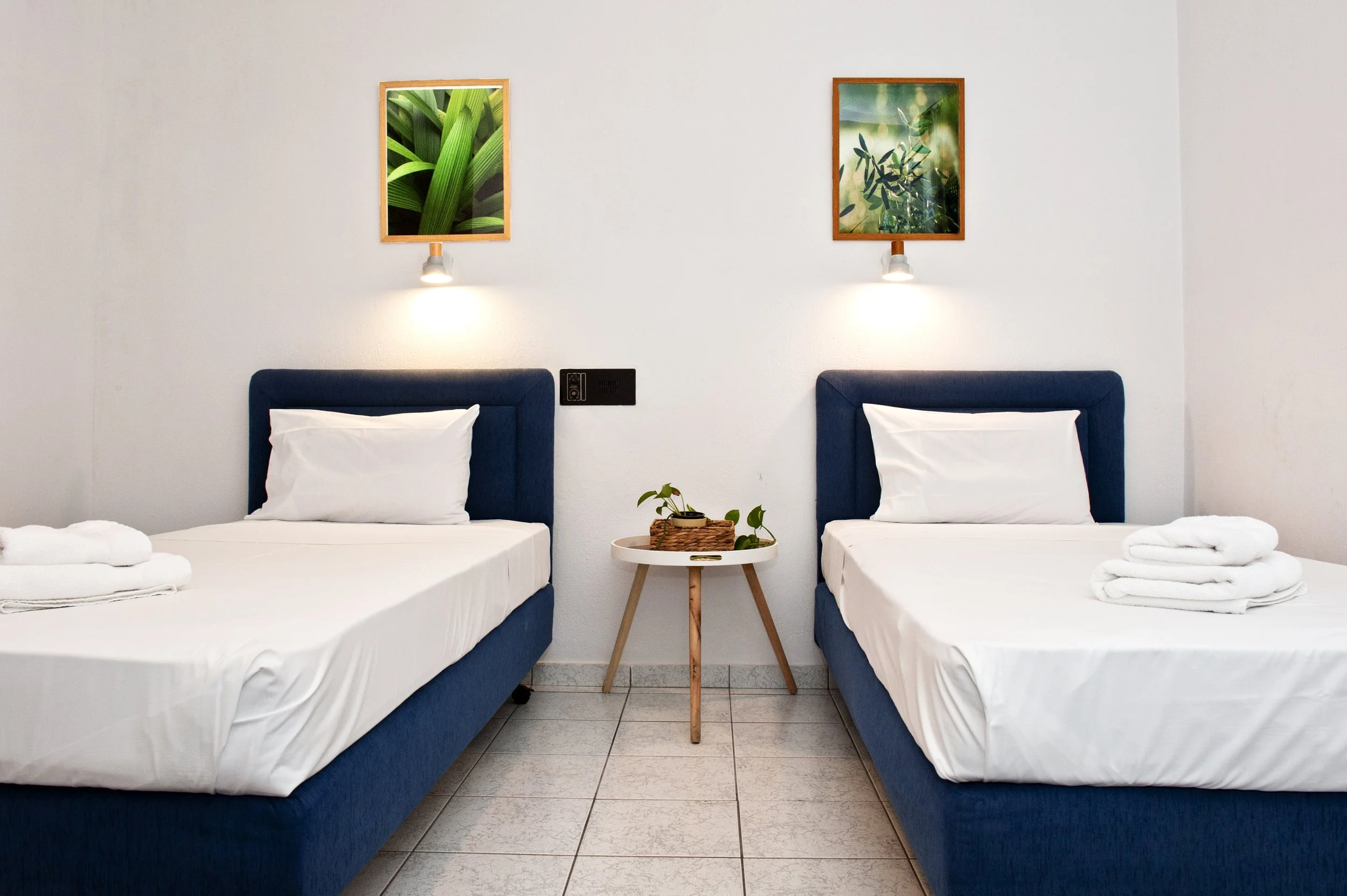 Two single beds with blue upholstered headboards and white bedding, separated by a small round wooden table with green plants, with framed botanical art on the white wall above each bed, lit by wall-mounted reading lights.