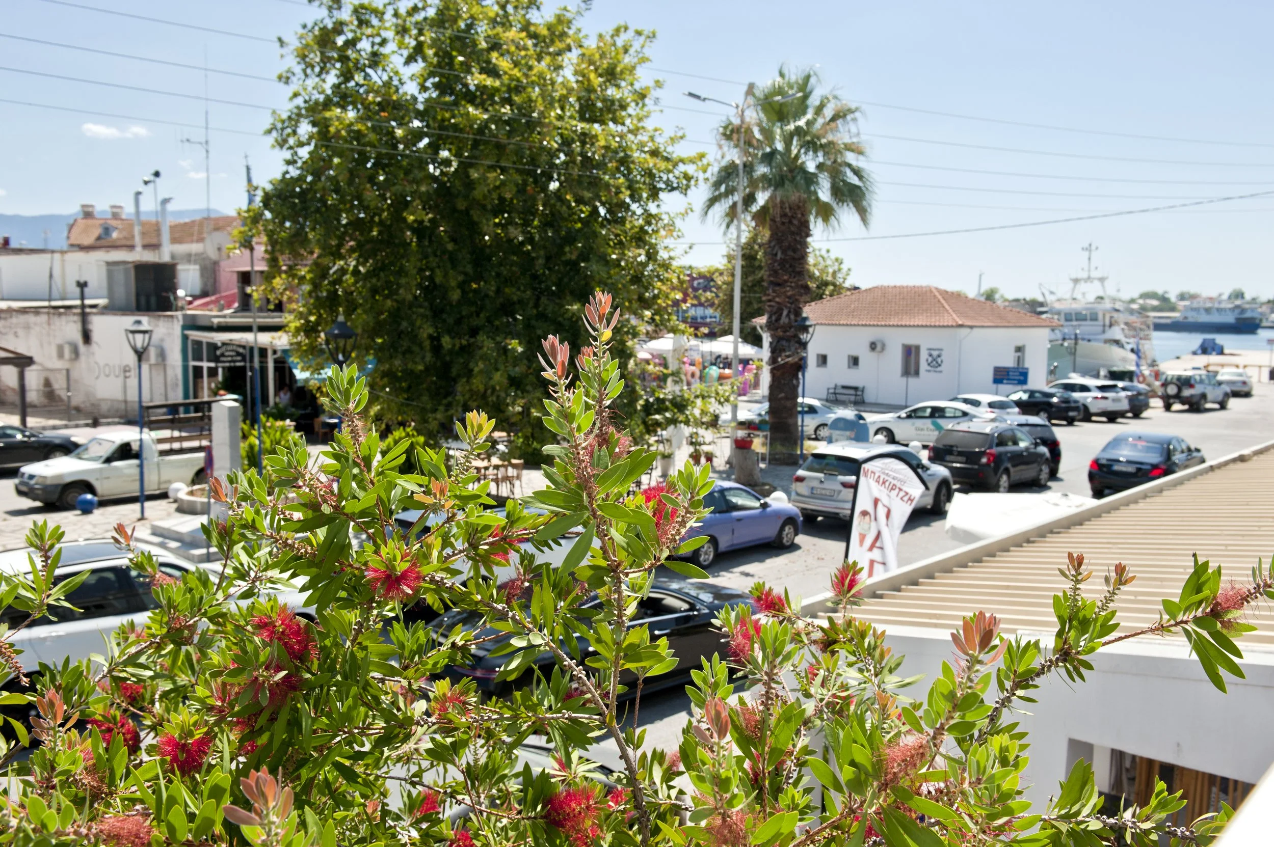 A view of a coastal town with cars parked in a lot, palm trees, a large tree, colorful flowers in the foreground, and boats docked in the harbor under a clear blue sky.