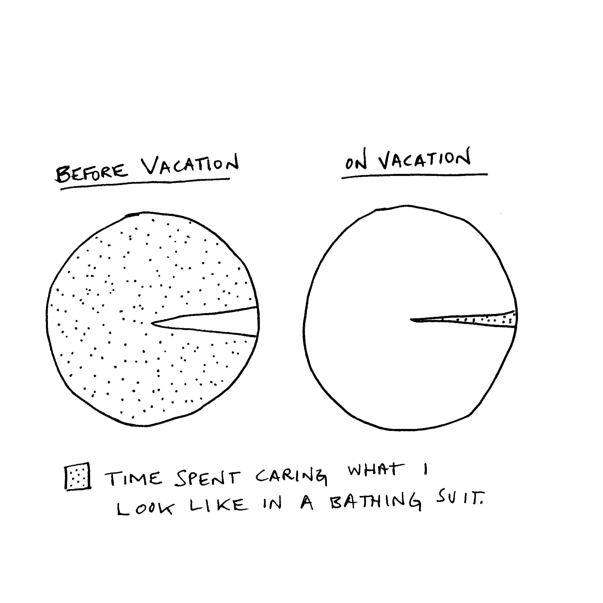 250331 pie chart.jpg
