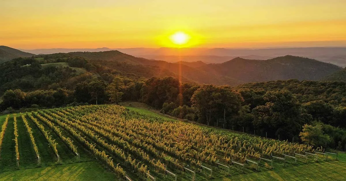12-Ridges-Vineyard-Sunset-web-FEATURE.jpg