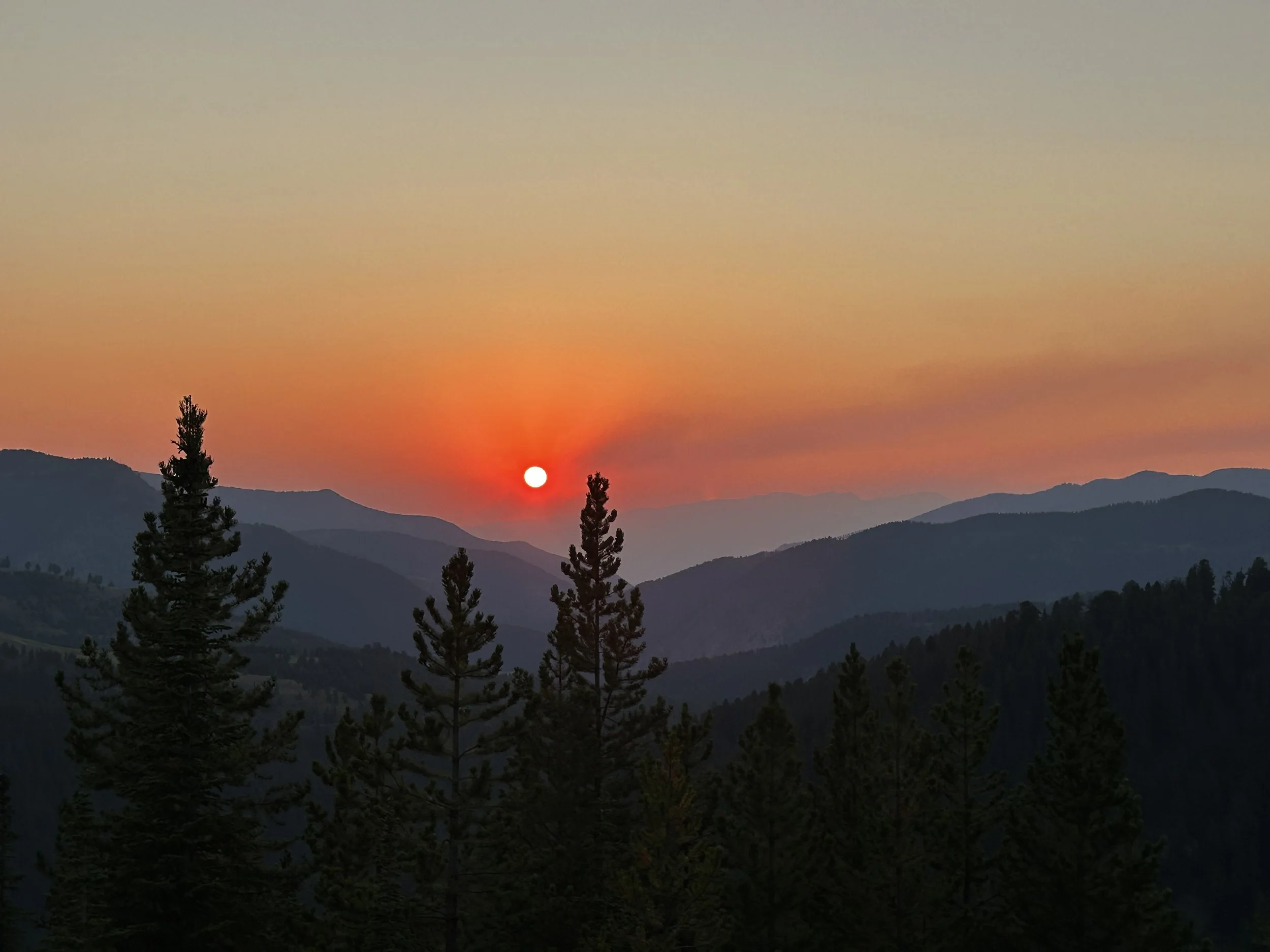 (D) Summer nights in Big Sky