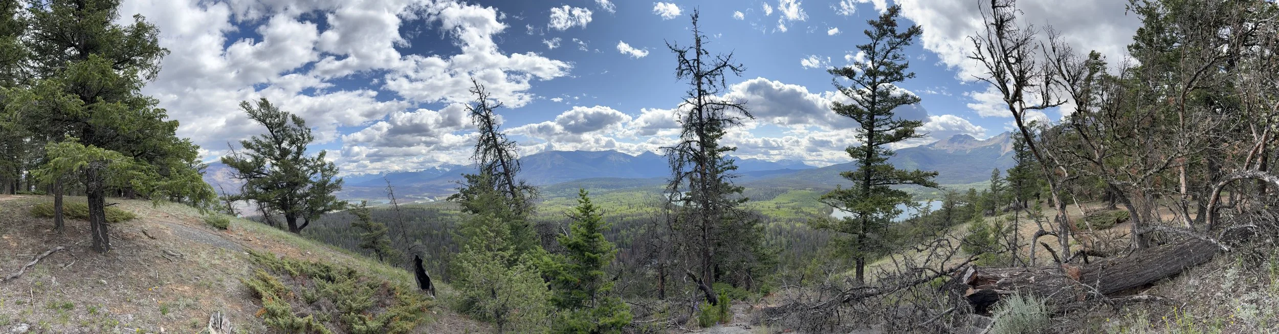 (I) Hiking in Jasper, Alberts, Canada
