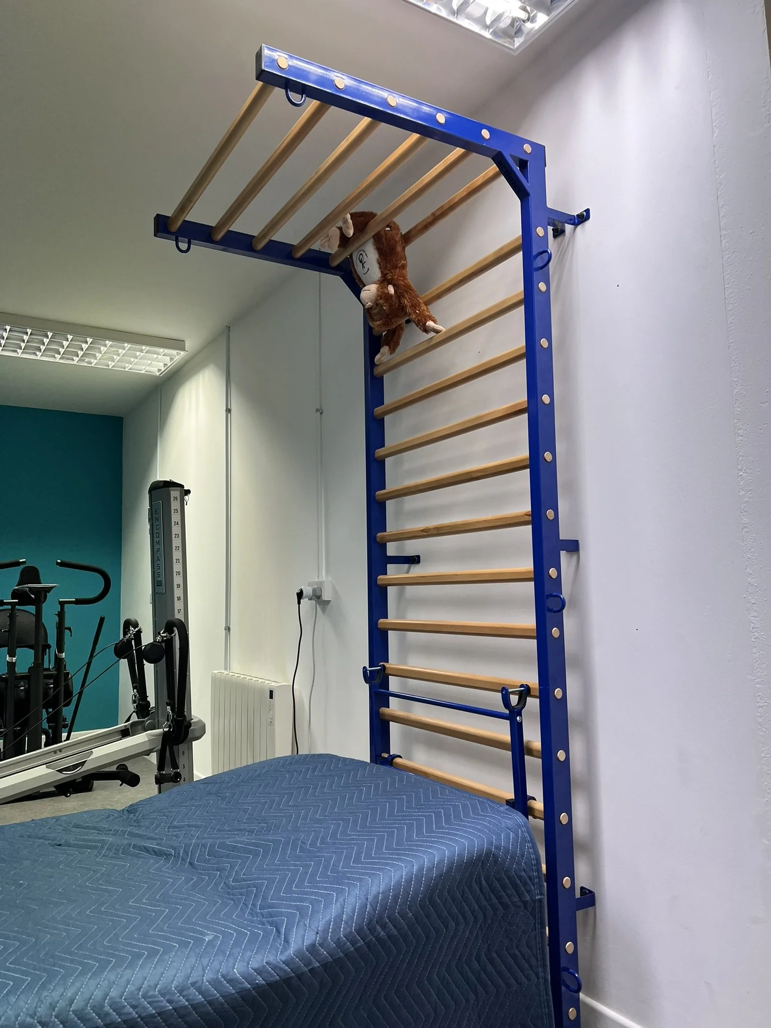 Wall Bars