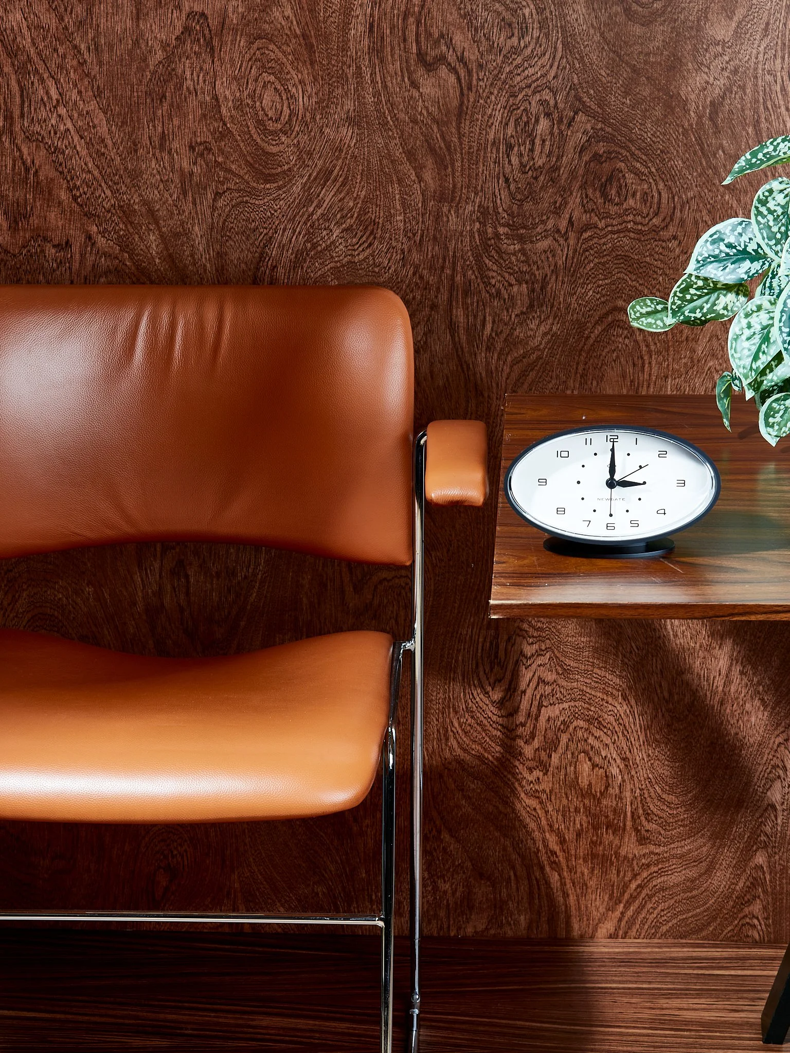 Experimental-Shots-048 (1).jpg