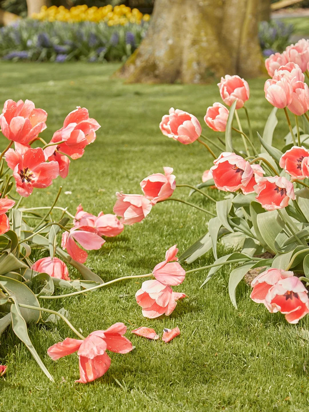 0496WF-Blog-313 1.jpg