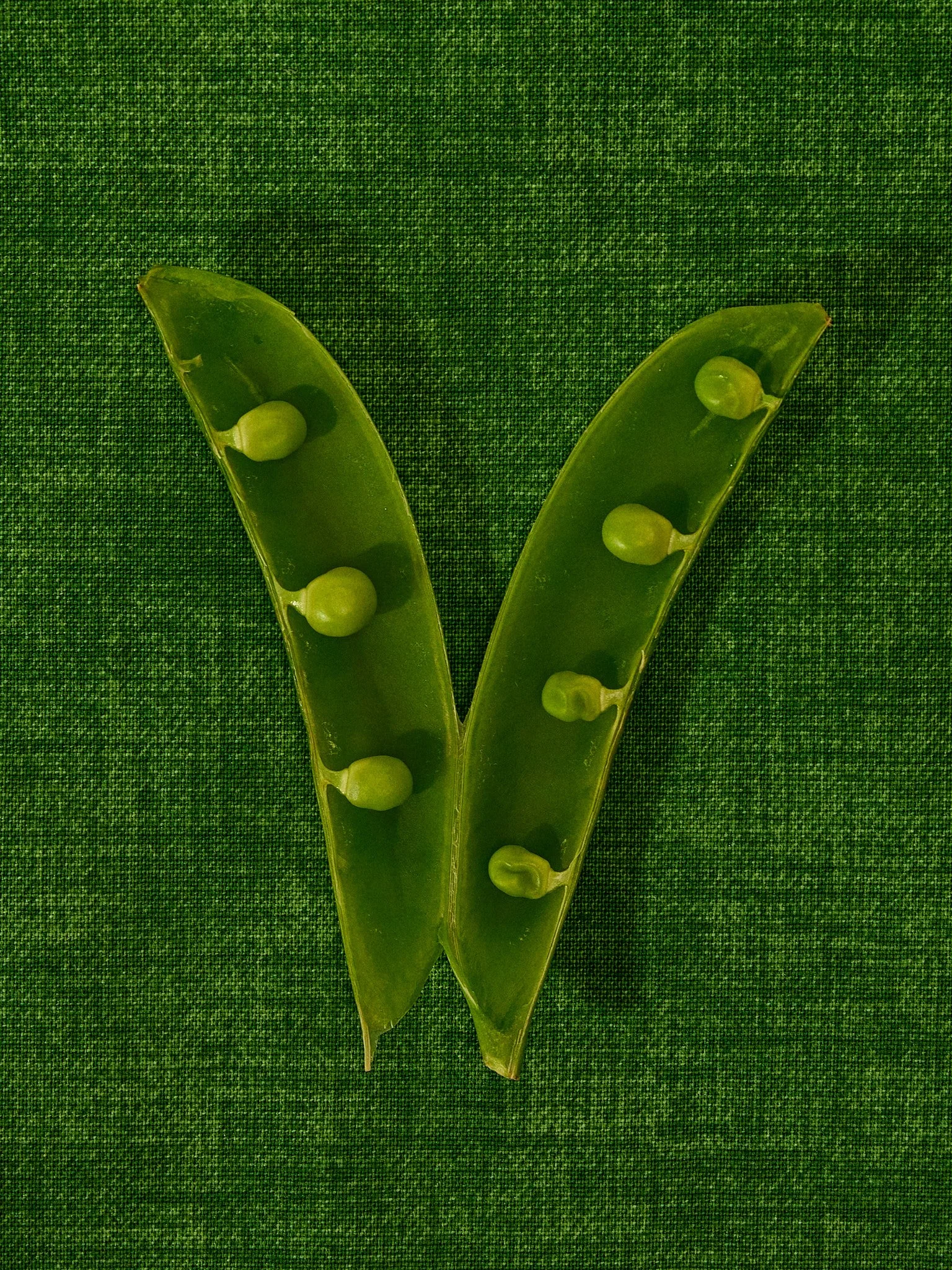Spring-Experiments-2026-066-.jpg