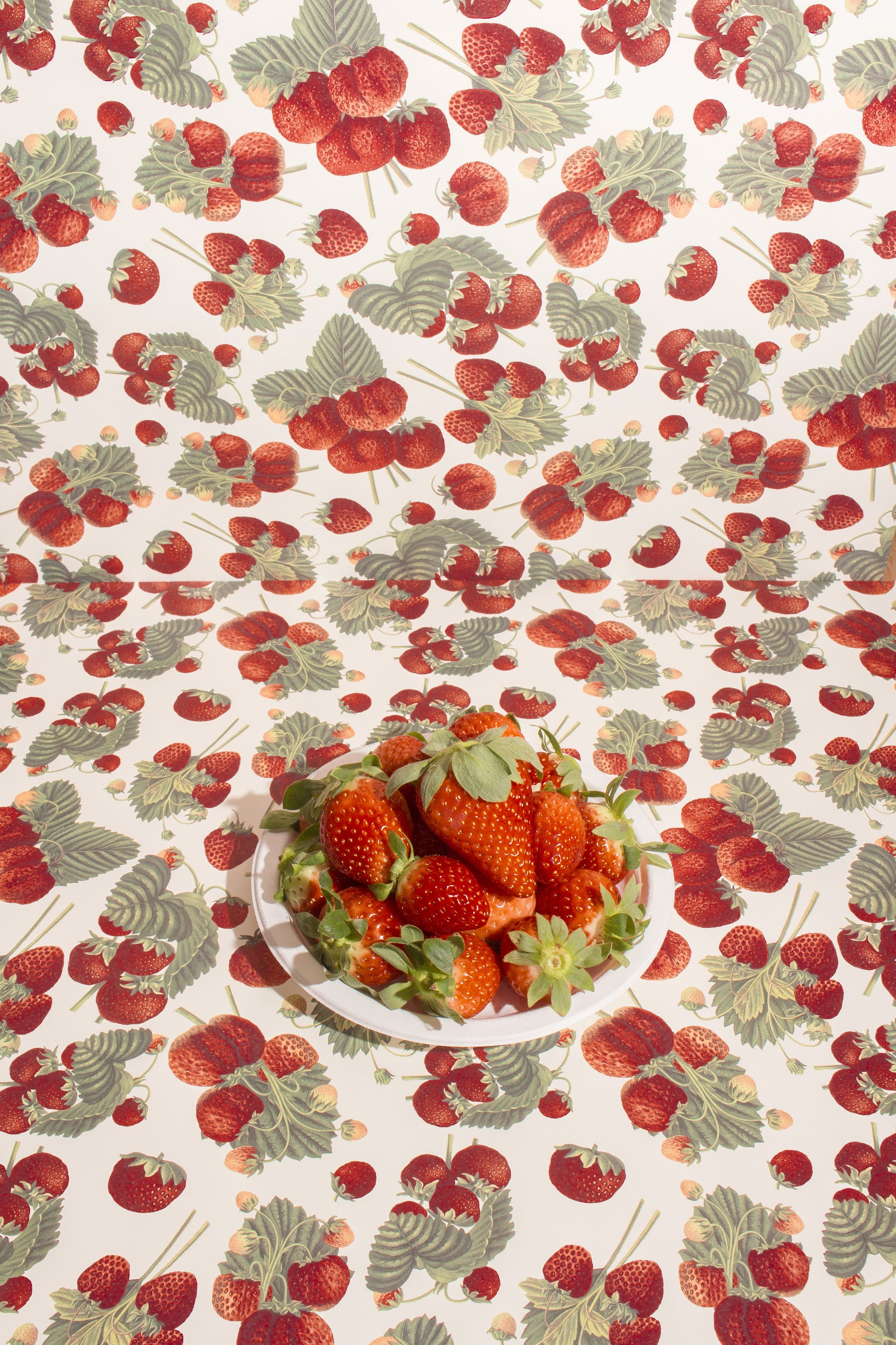 Trippy strawbs copy.jpg