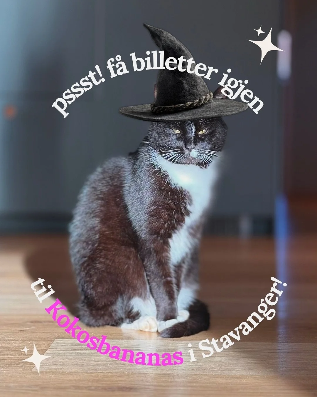 Det g&aring;r mot de aller siste forestillingene av &laquo;Kokosbananas - Det Store Showet&raquo;: L&oslash;rdag 8.november er det to show i @stavangerkonserthus, og s&oslash;ndag 9.november er det show i @bomlokulturhus . 

Etter det er det faktisk 