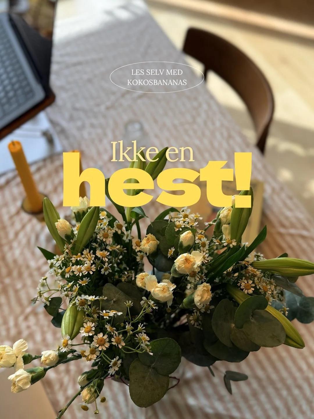 Den attityden til Harry Hjort👌👌. Kokosbananas - Luftskoene, det nyeste tilskuddet i lettlest-serien om Kokosbananas finnes der b&oslash;ker bor🫶