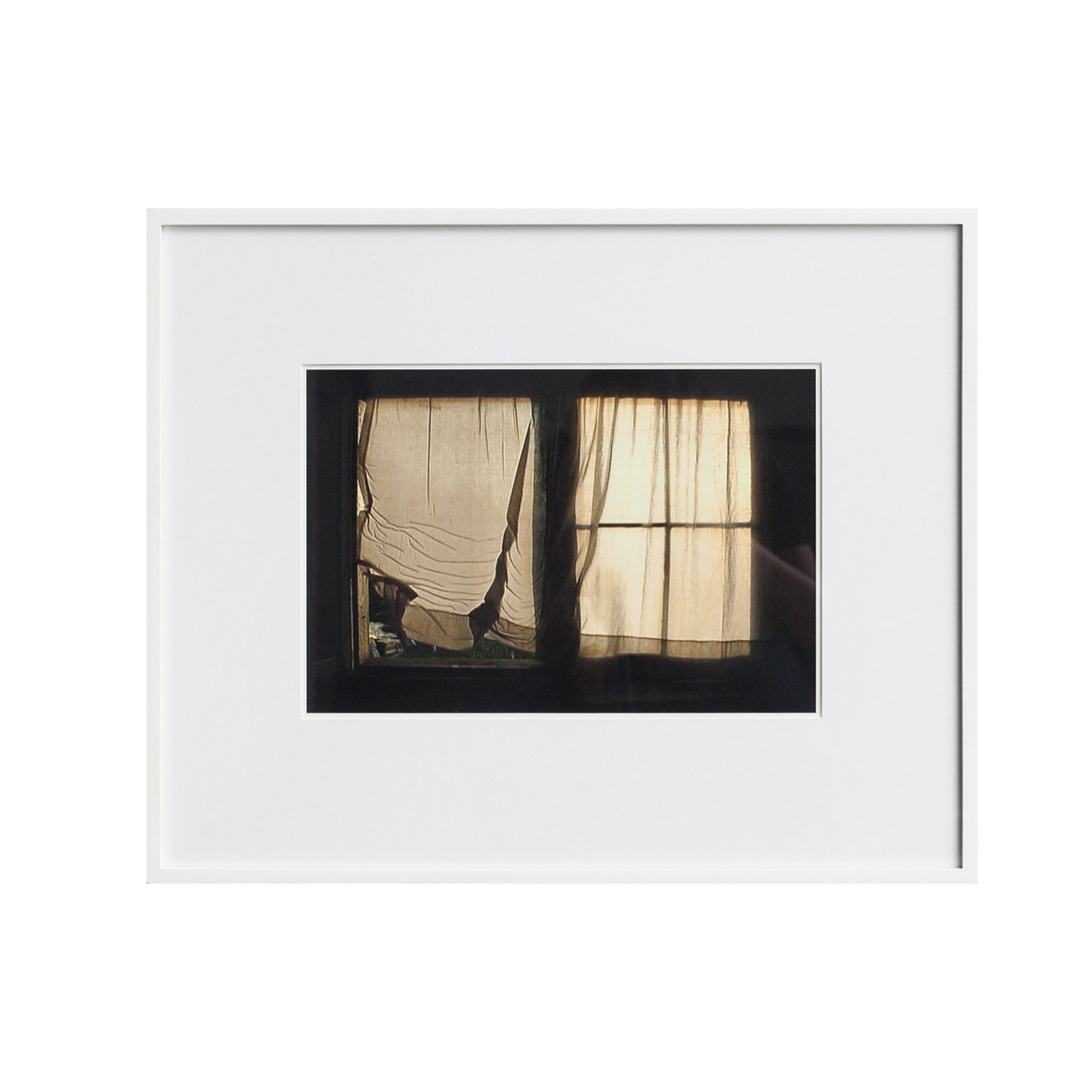 2011_whitebackground-03.png