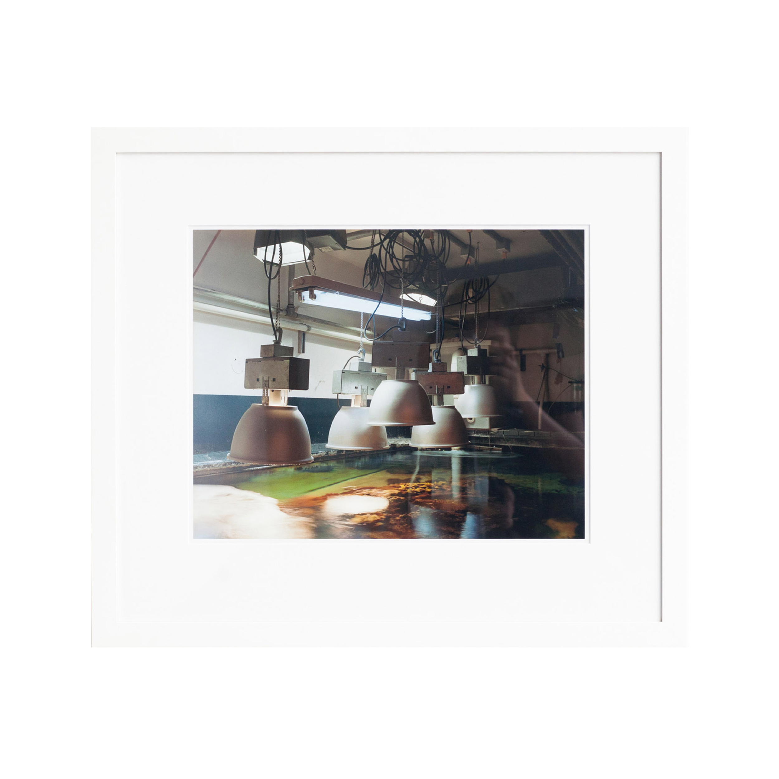 2007_whitebackground-05.png