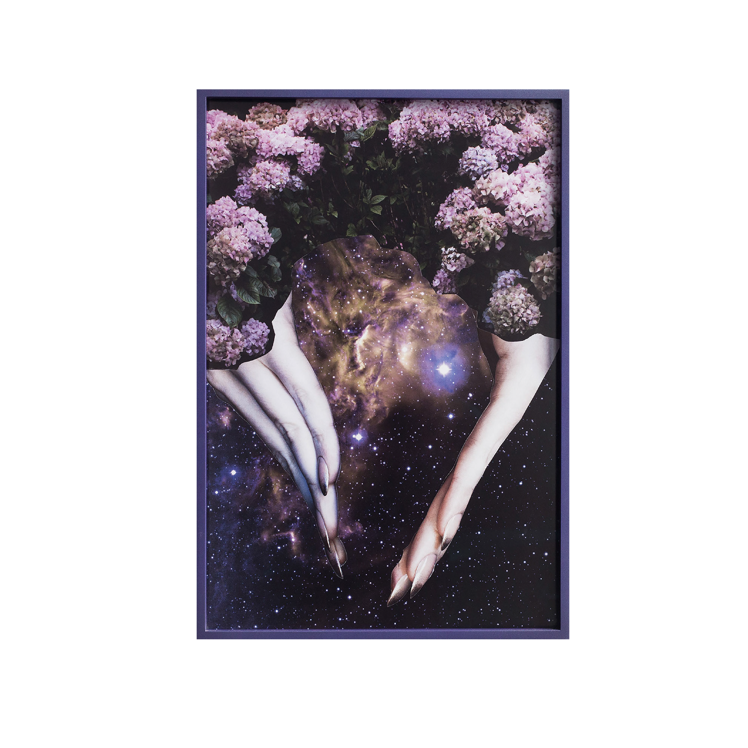 2016_whitebackground-03.png