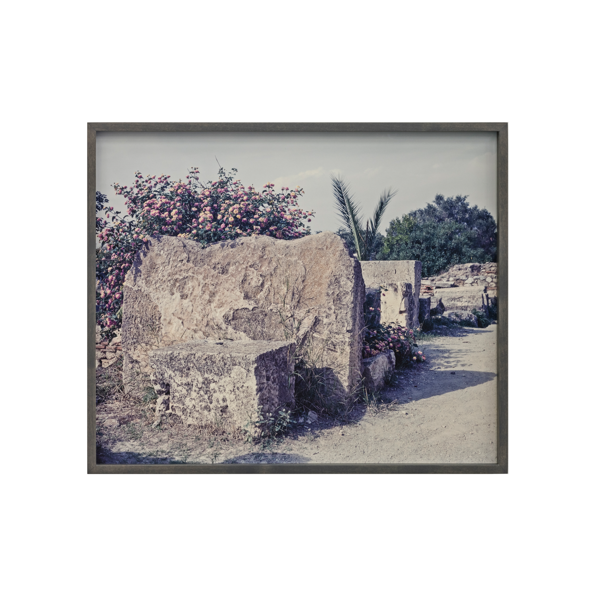 2018_whitebackground-01.png