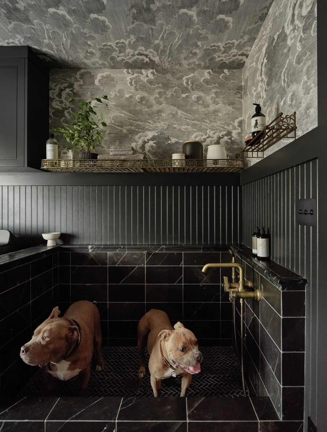 Spring cleaning checklist:
✔ clean everything
✔ wash the dogs
✔ consider moving into the laundry room full time&hellip;

We designed the interiors of this stunning Craftsman for the loveliest clients in Berkeley&mdash;but honestly, the dogs may have 