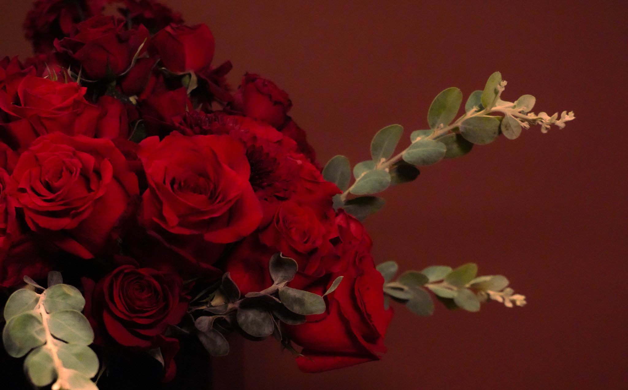 DSC06786-2.jpg