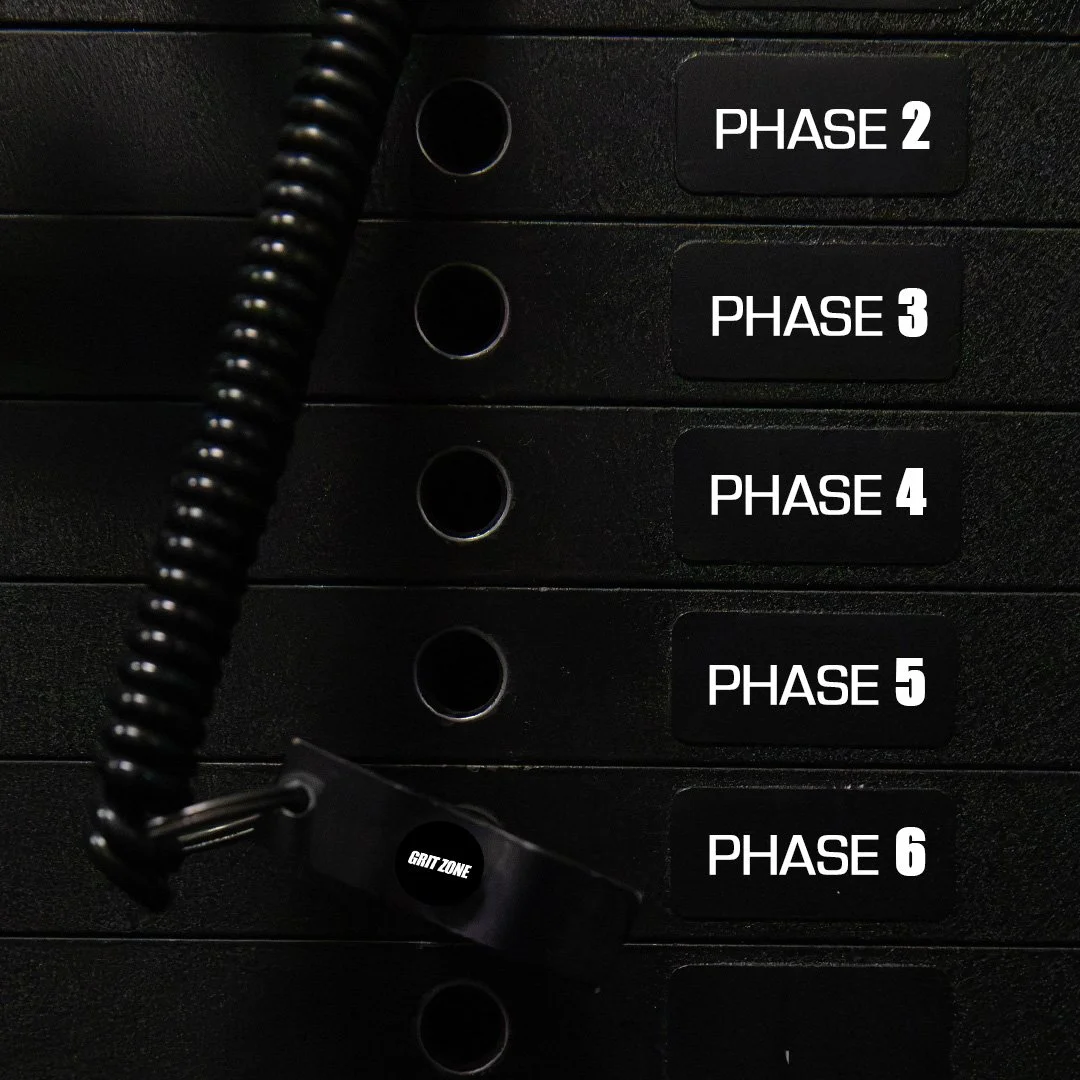 phase 6 .jpg