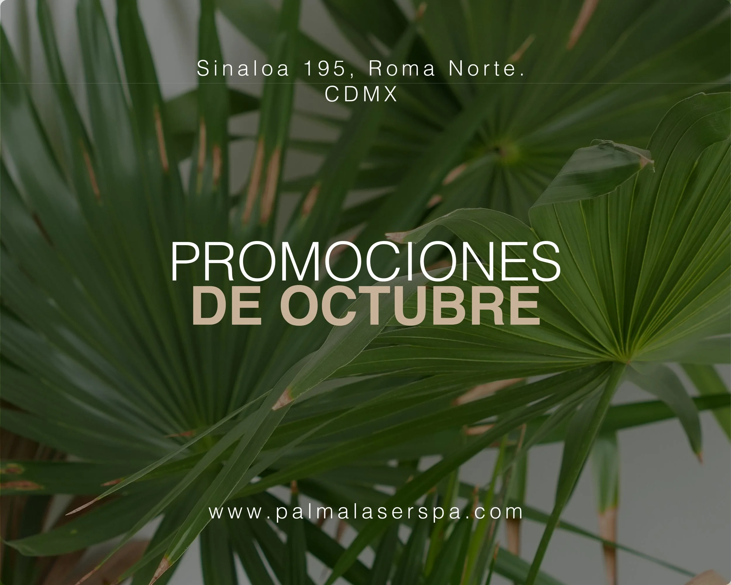 Sin título-.jpg