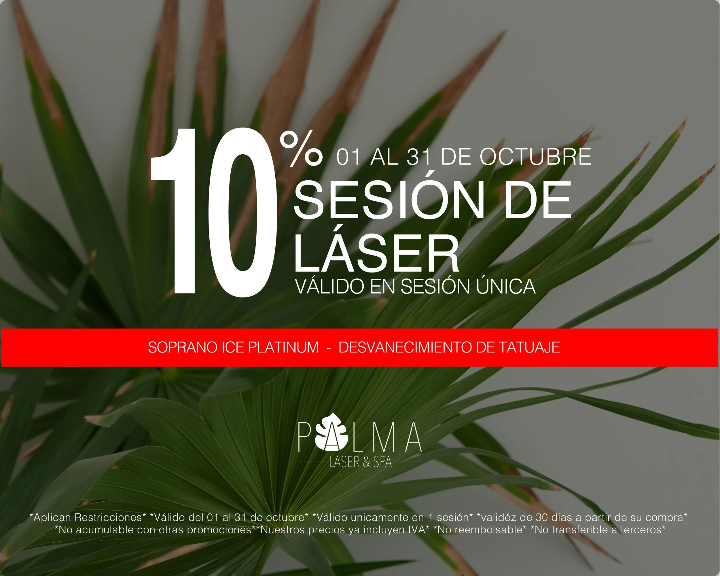 promos octubre -02.jpg