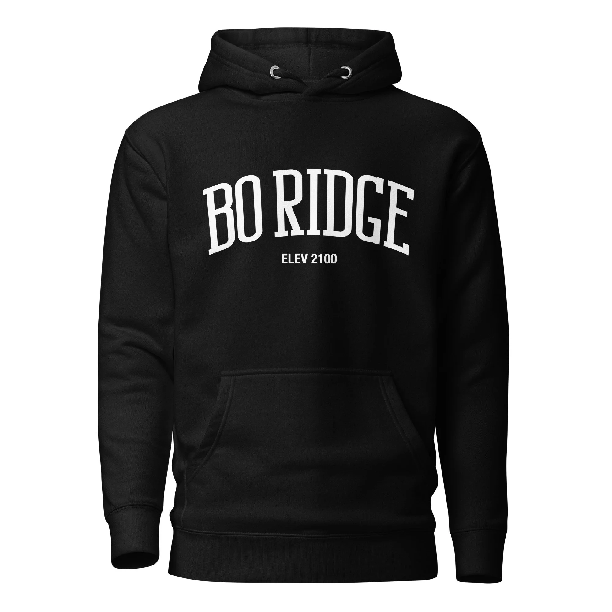 unisex-premium-hoodie-black-front-67b50c027708f.jpg