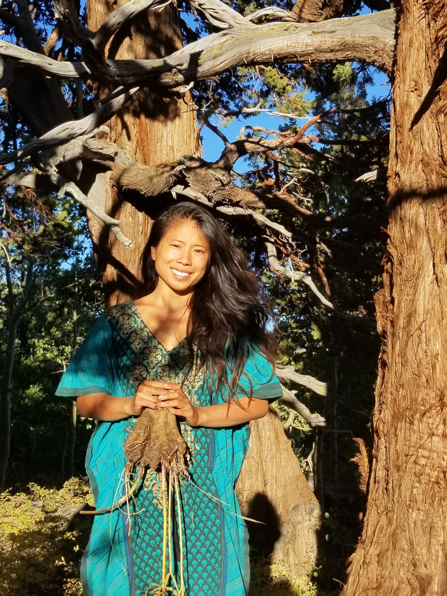 A woman smiling and holding a freshly dug tree root stands in front of tall trees in a forested area on a sunny day.