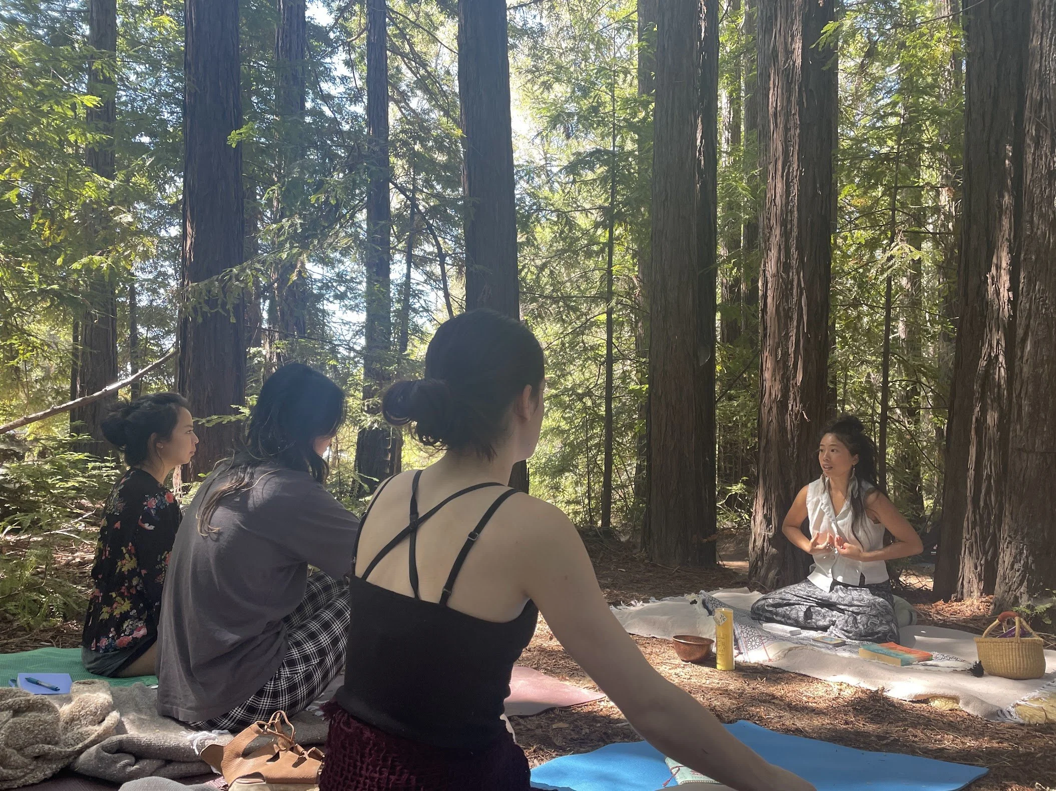 Four women sitting in a circle on mats and blankets outdoors in a forest, listening to a woman leading a meditation or instruction session. Sunlight filters through tall trees.