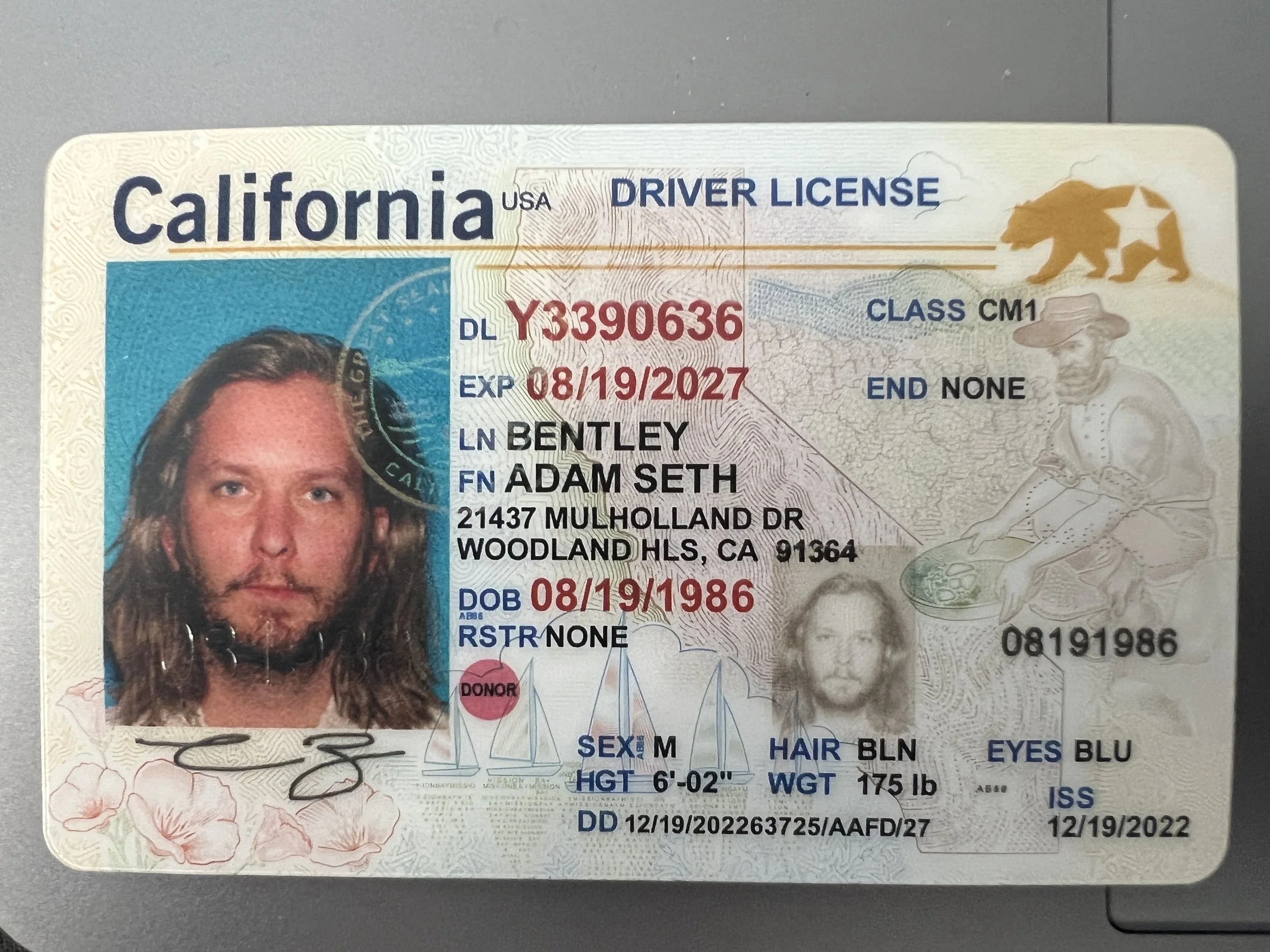 Driver License