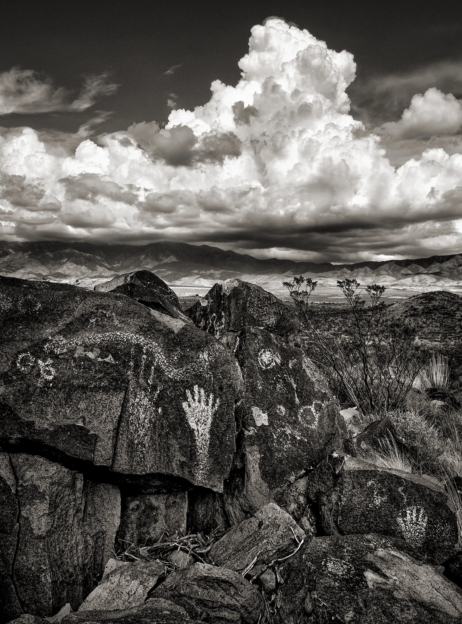 Three Rivers - Photograph - 30x40"