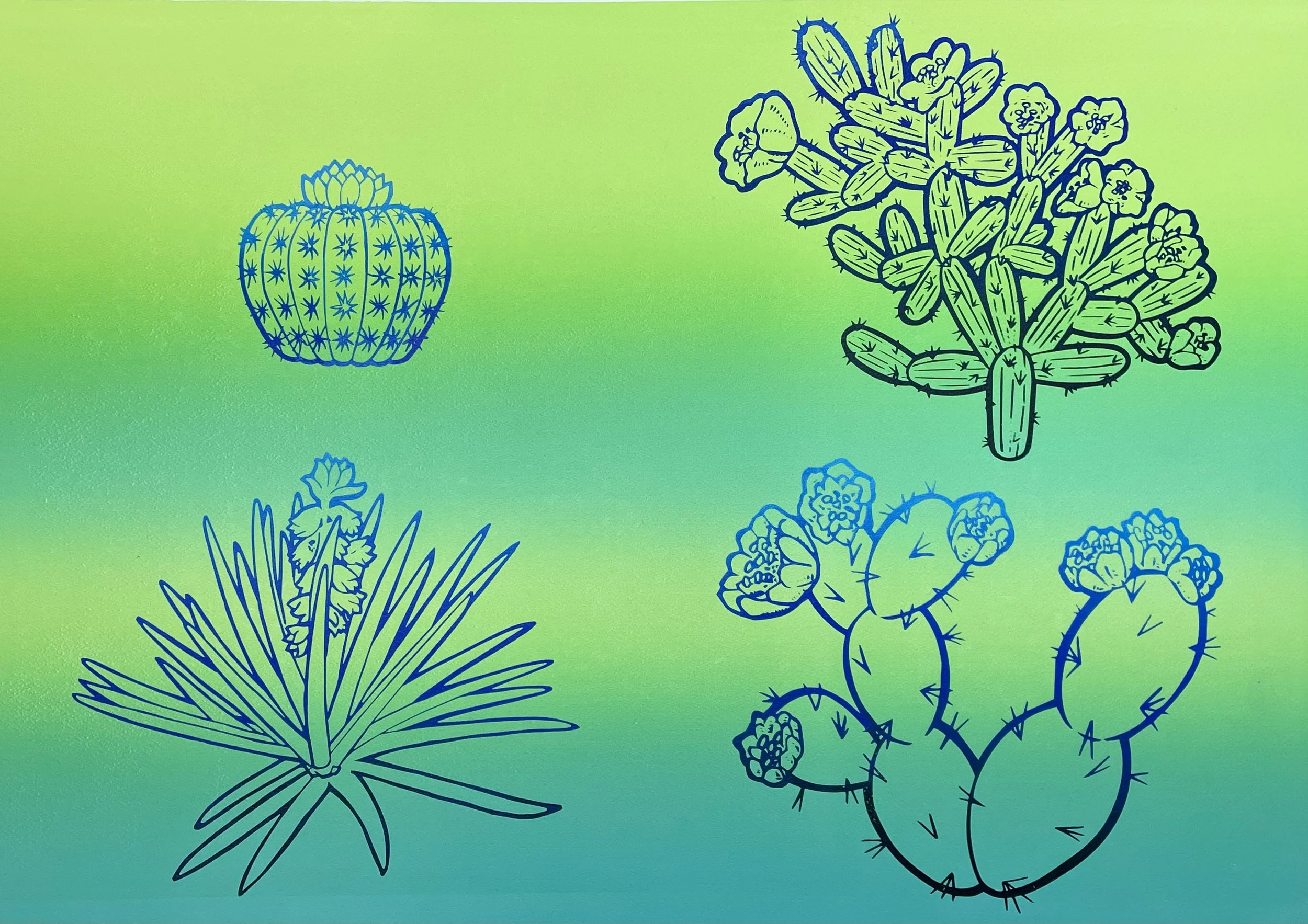 IMG_1462-16" x 12", Monoprint (Oil with serigraph on top) on Paper