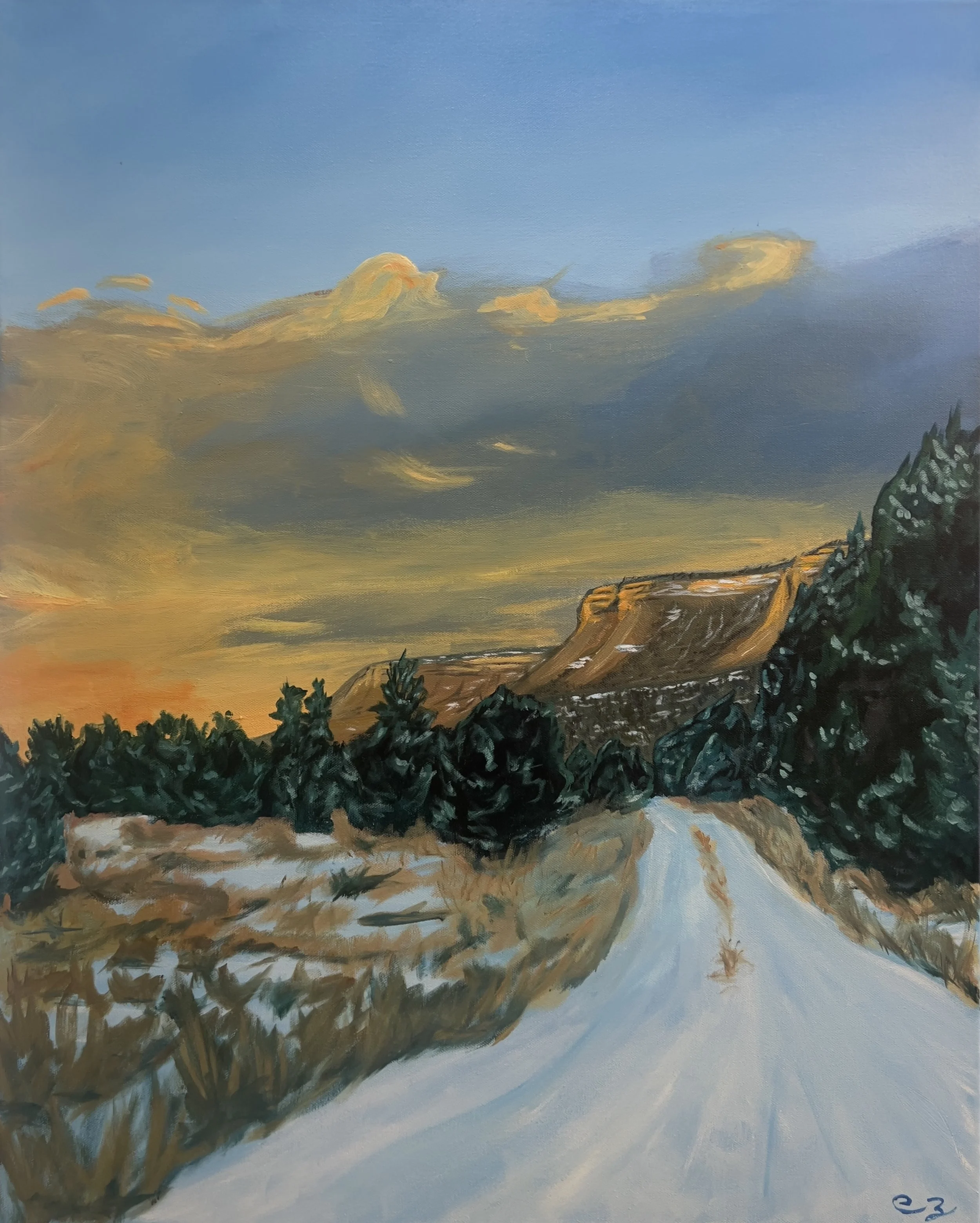 24"x30", acrylic, canvas