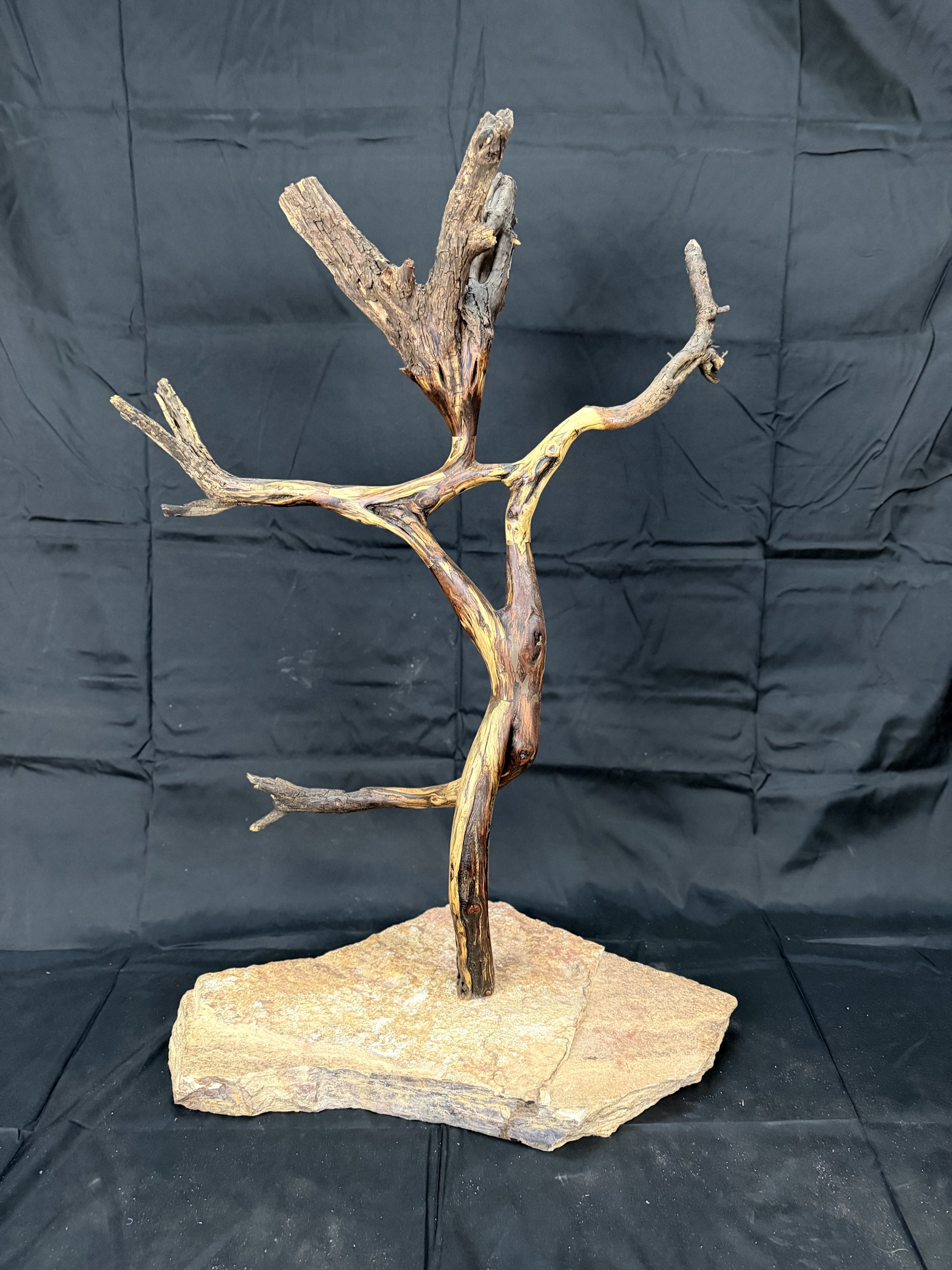14”w x 12”d x 28”h-Mesquite tree branches