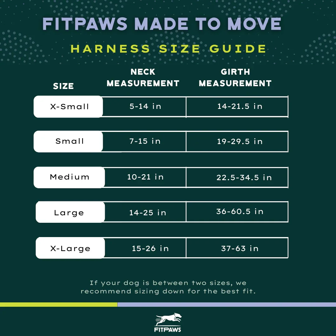 Chart_Fitpaws_1800x1800.webp
