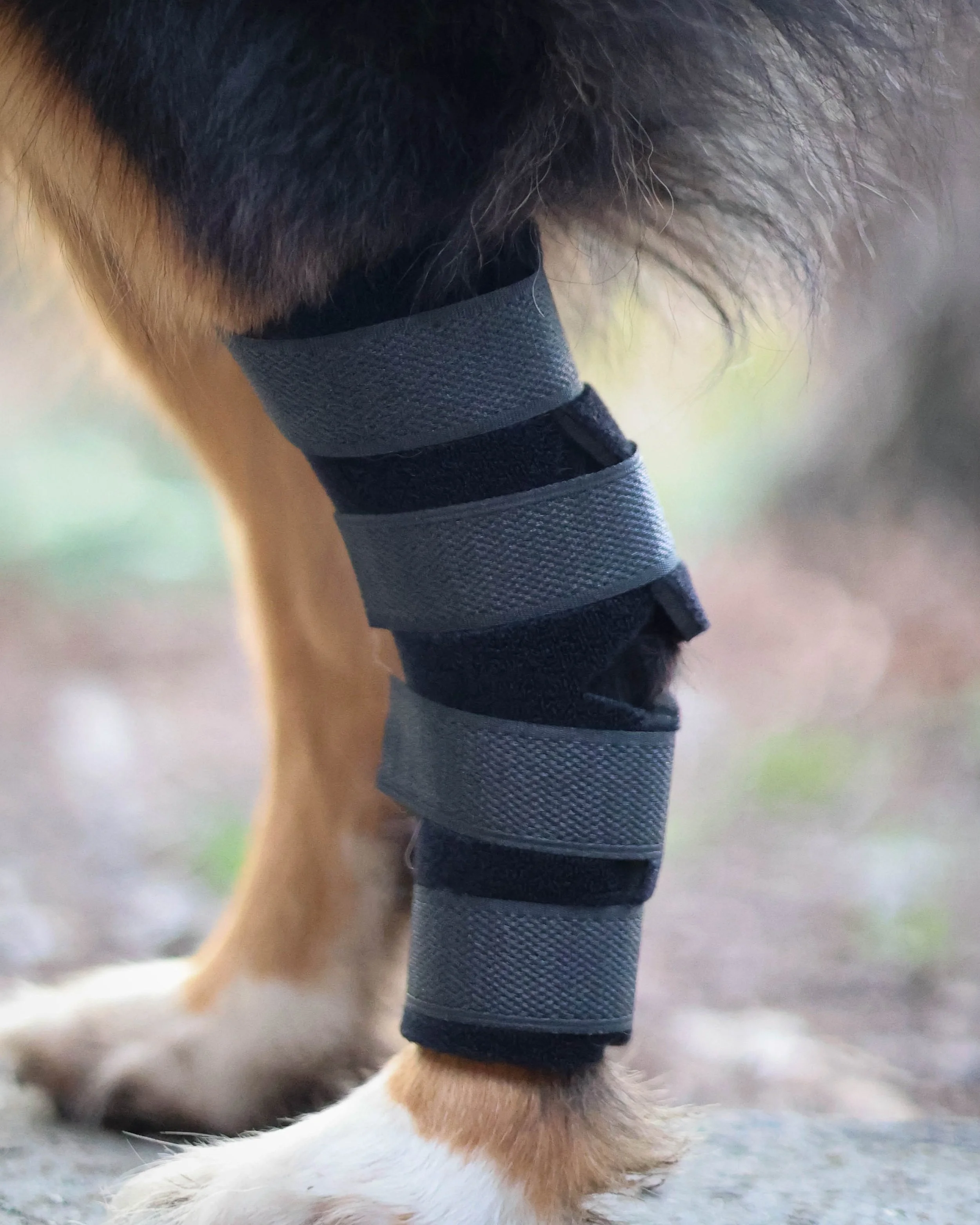 Orthowrap Hock Protector