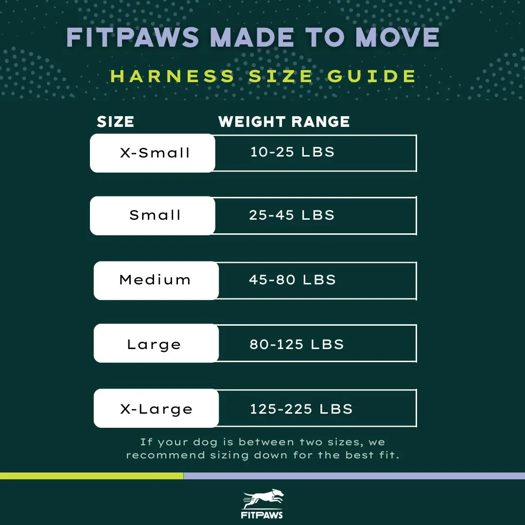 Fitpaws-Made-To-Move-harness-chart-02_1800x1800.webp