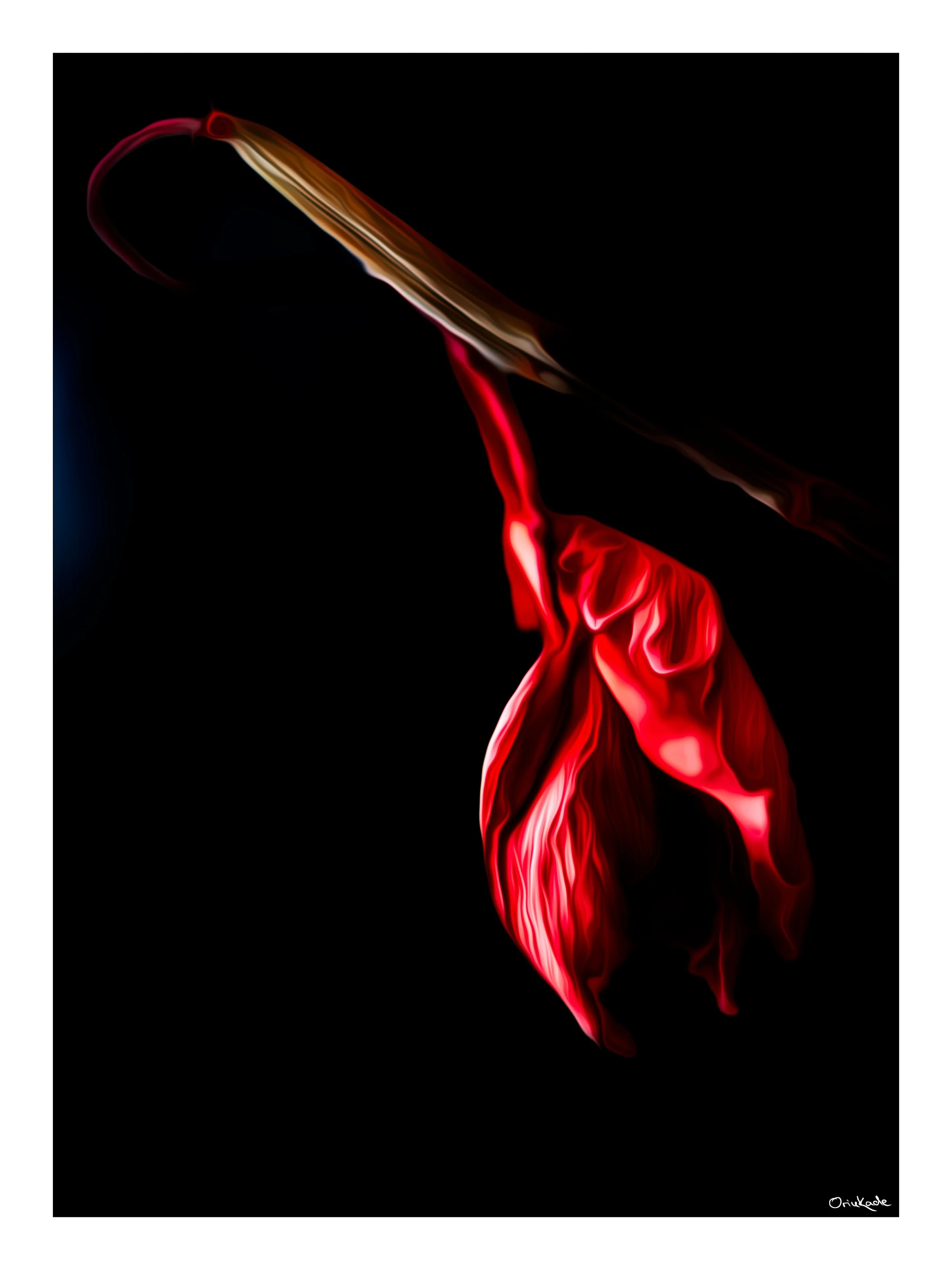 Fury in Bloom – The Fire Within Stillness