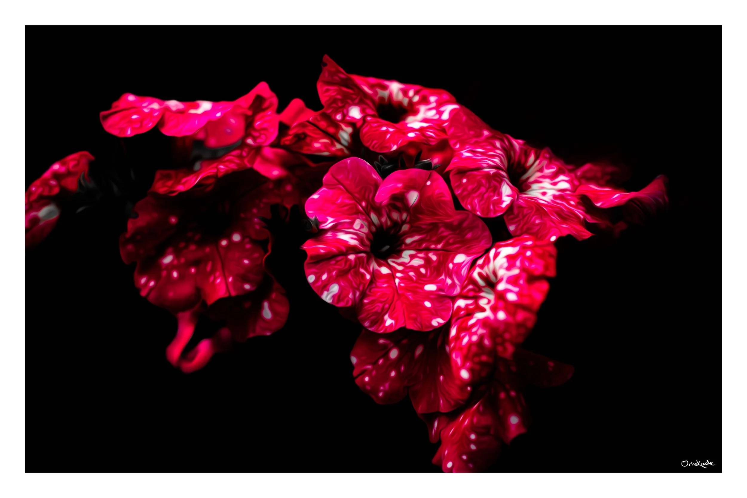 Crimson Echo — A Study in Bold Whispers