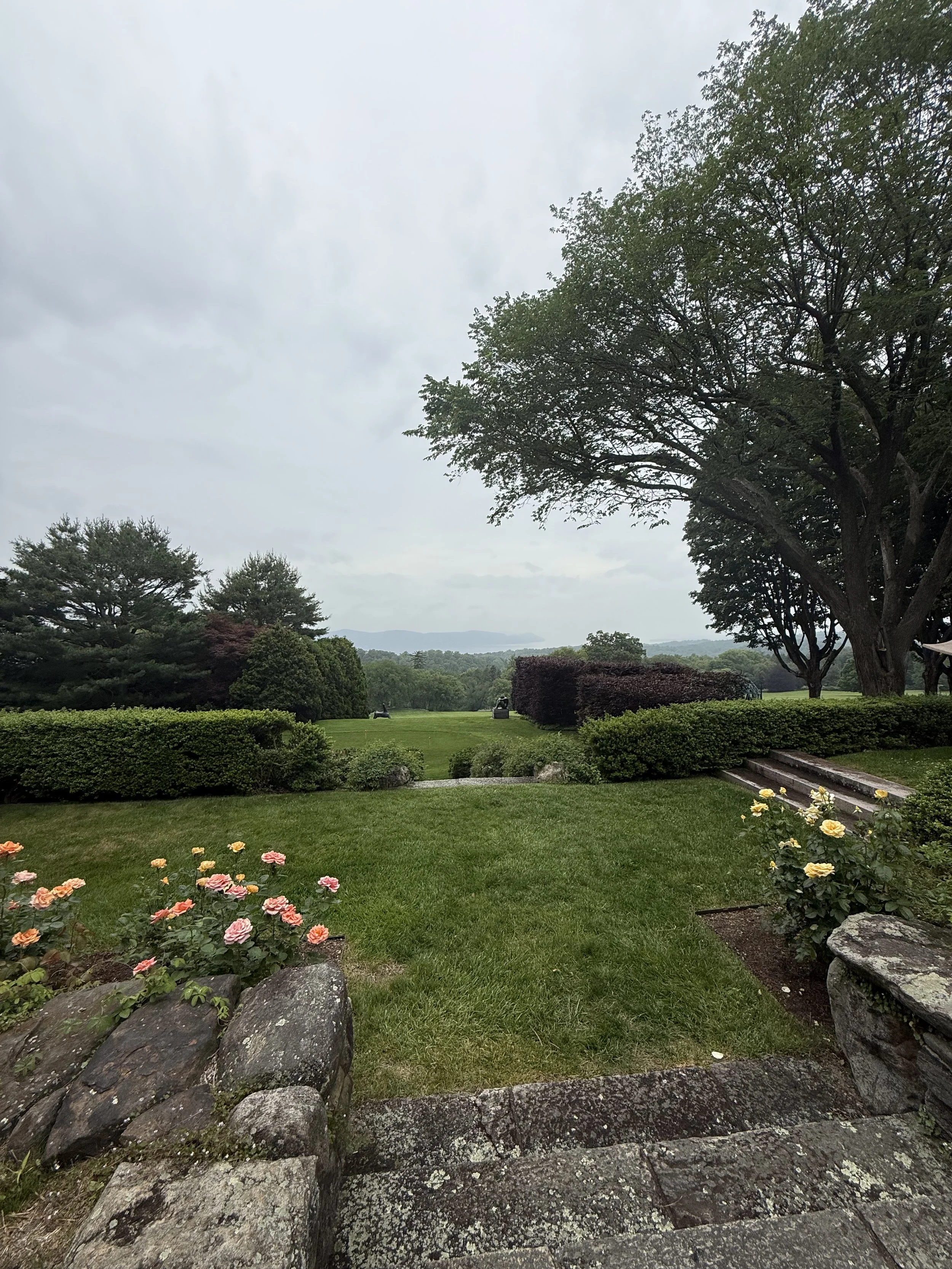 IMG_3852.jpeg