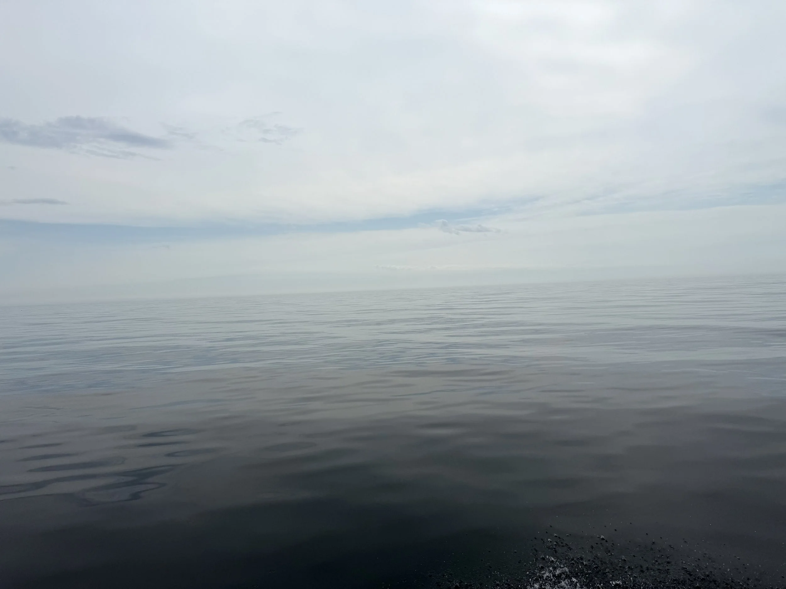 IMG_5302.jpeg