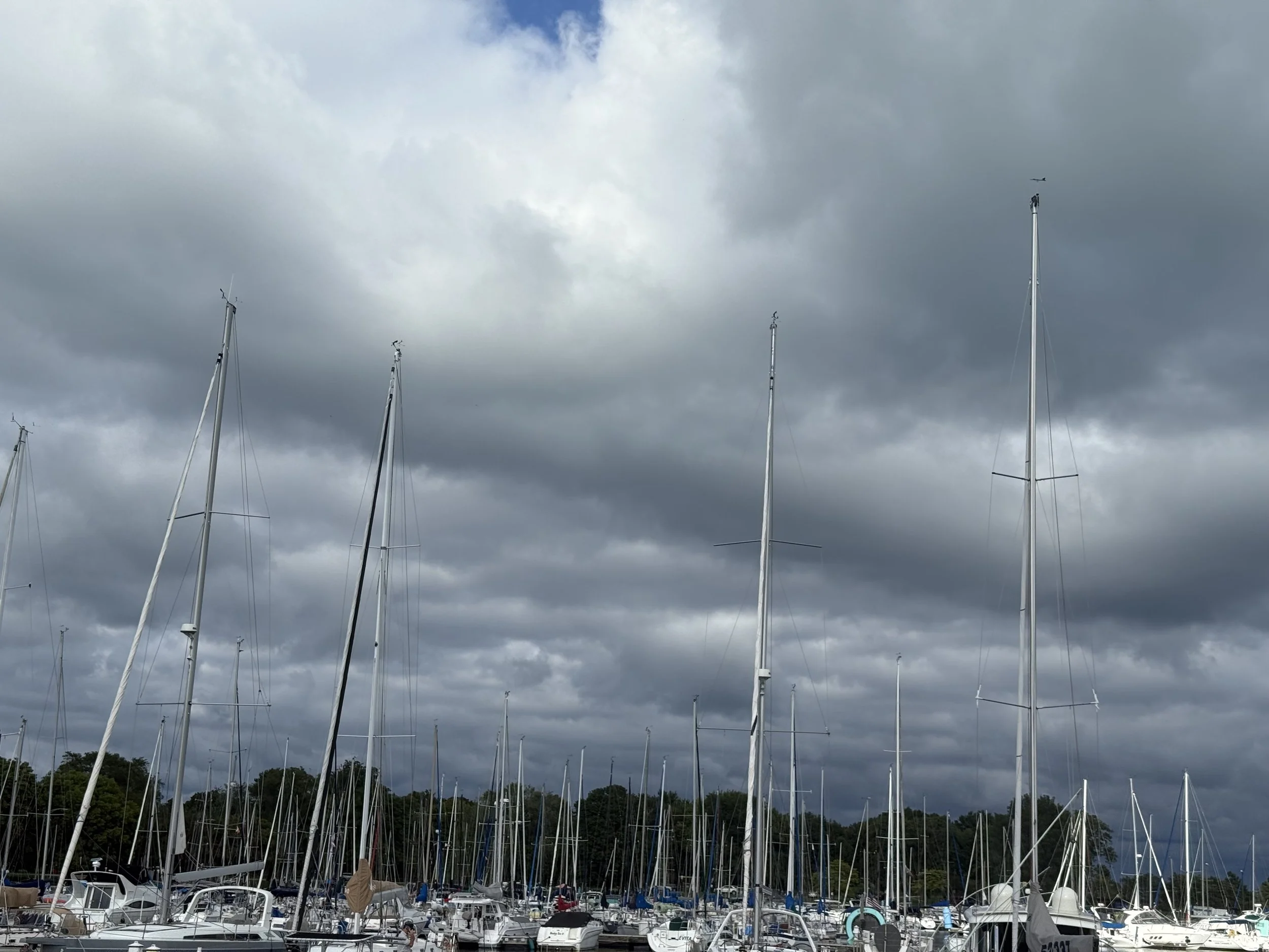 IMG_5395.jpeg