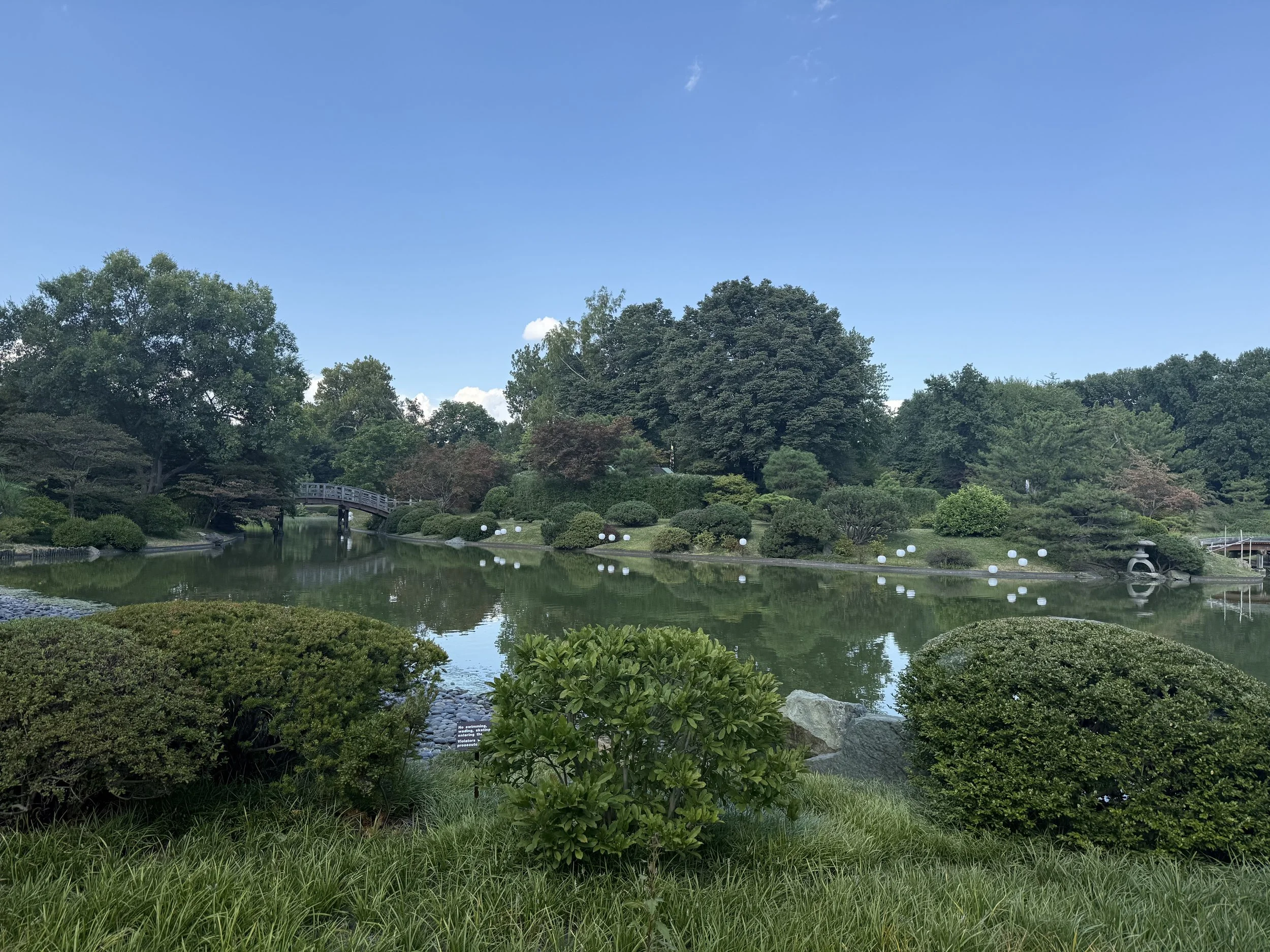 IMG_5667.jpeg
