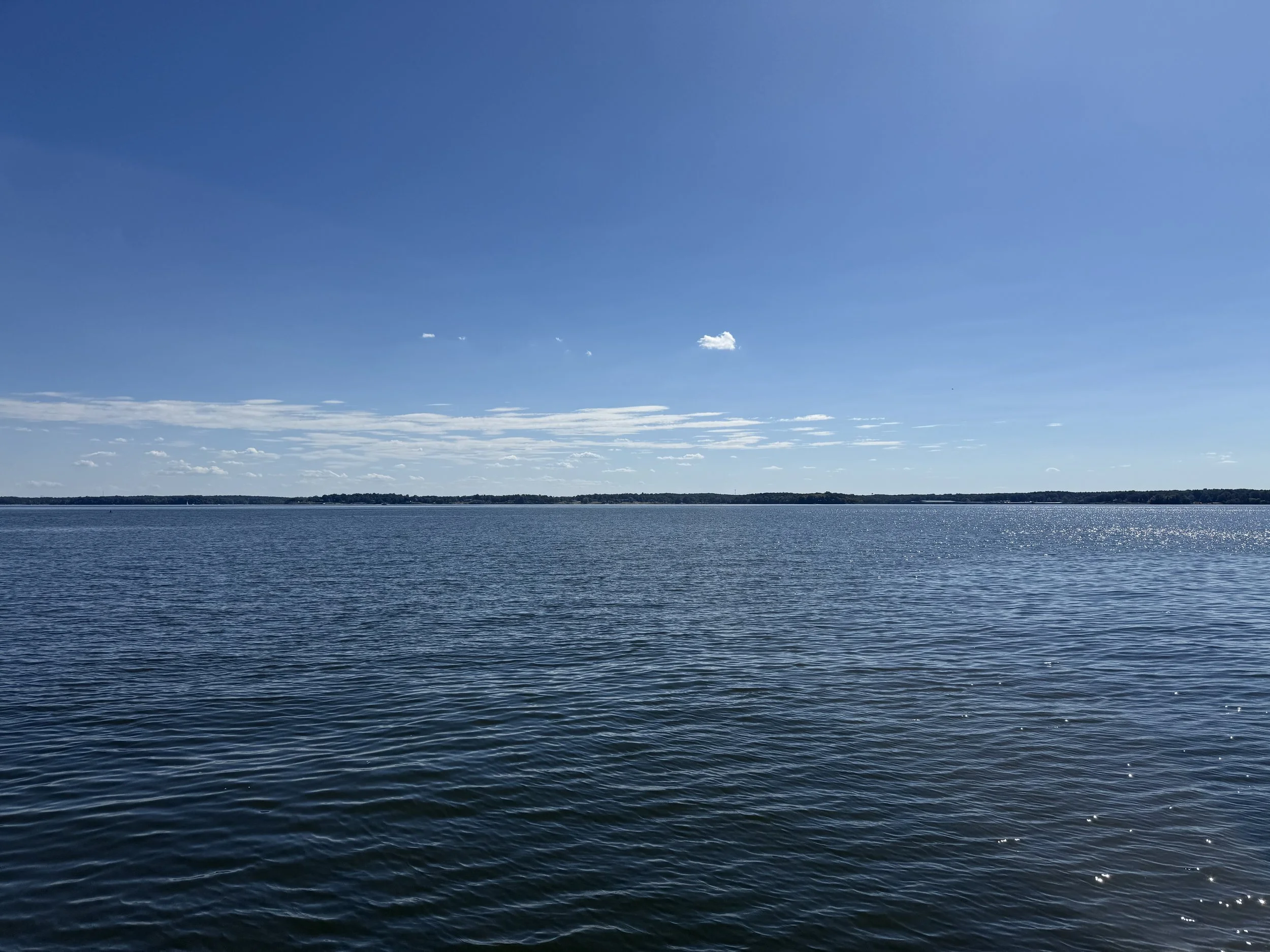 IMG_5754.jpeg