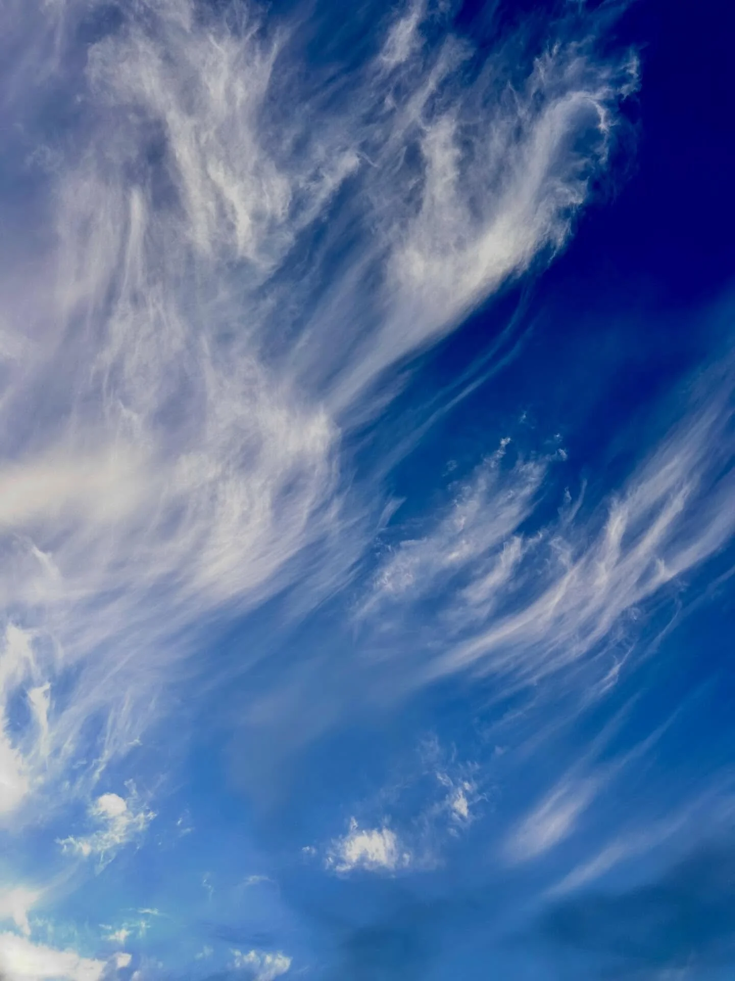 Sometimes all we have to do is look up to see simple and wonderful things.