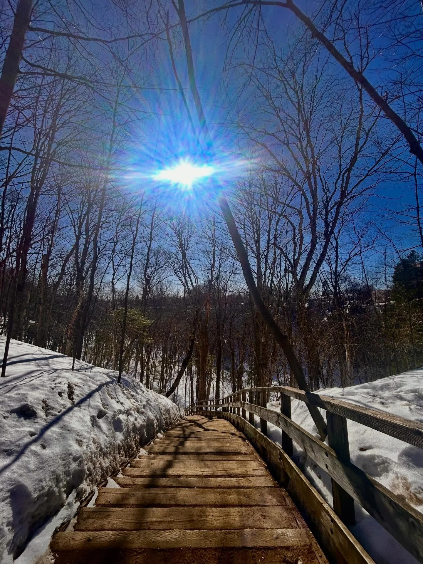 Prendre le temps de prendre le temps 🩵🪾🌞