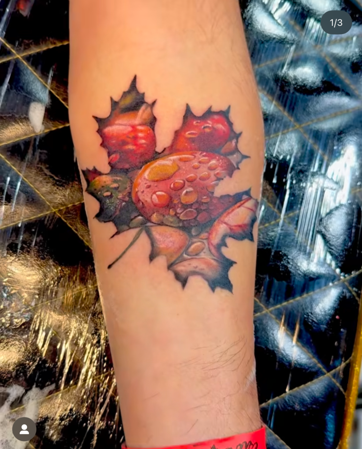 Kayla Hill - Tattoo Artist