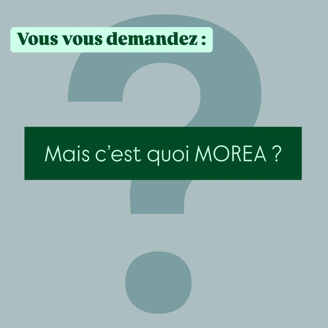 Plus qu&rsquo;un simple voyage, Morea cr&eacute;e des exp&eacute;riences sur-mesure ✨
Nous ne proposons pas de voyages tout faits, mais nous vous accompagnons pour organiser votre aventure id&eacute;ale :
✈️ Recherche de vols
🏨 H&eacute;bergements a