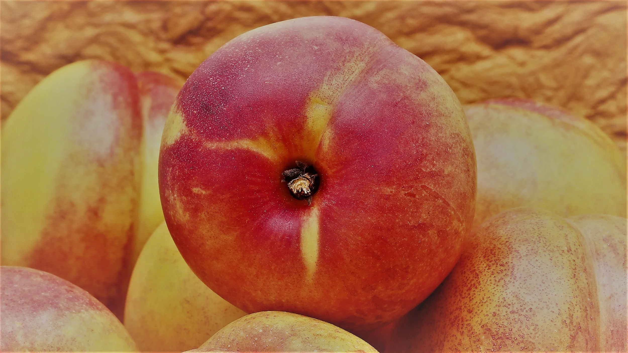 Nectarine 16_9 Zeke filter.jpg