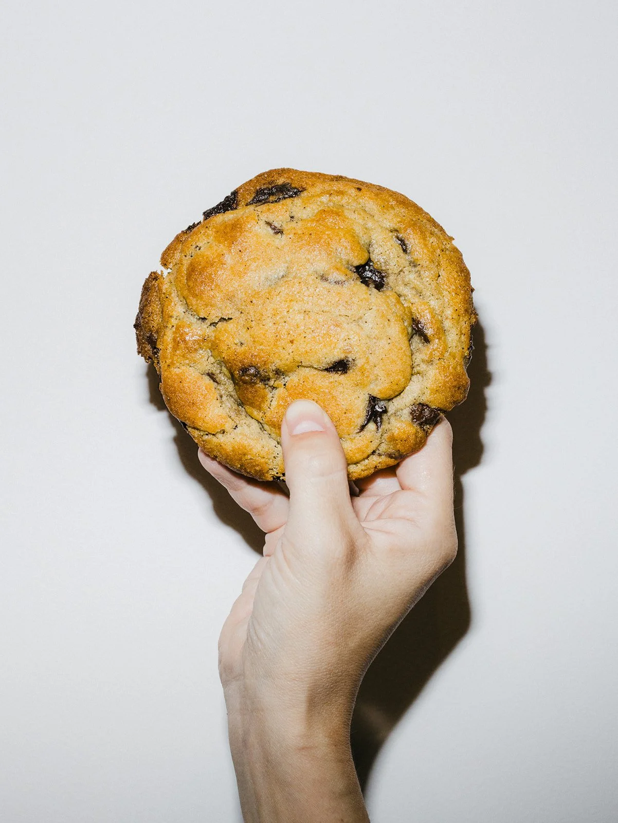 Chocochip