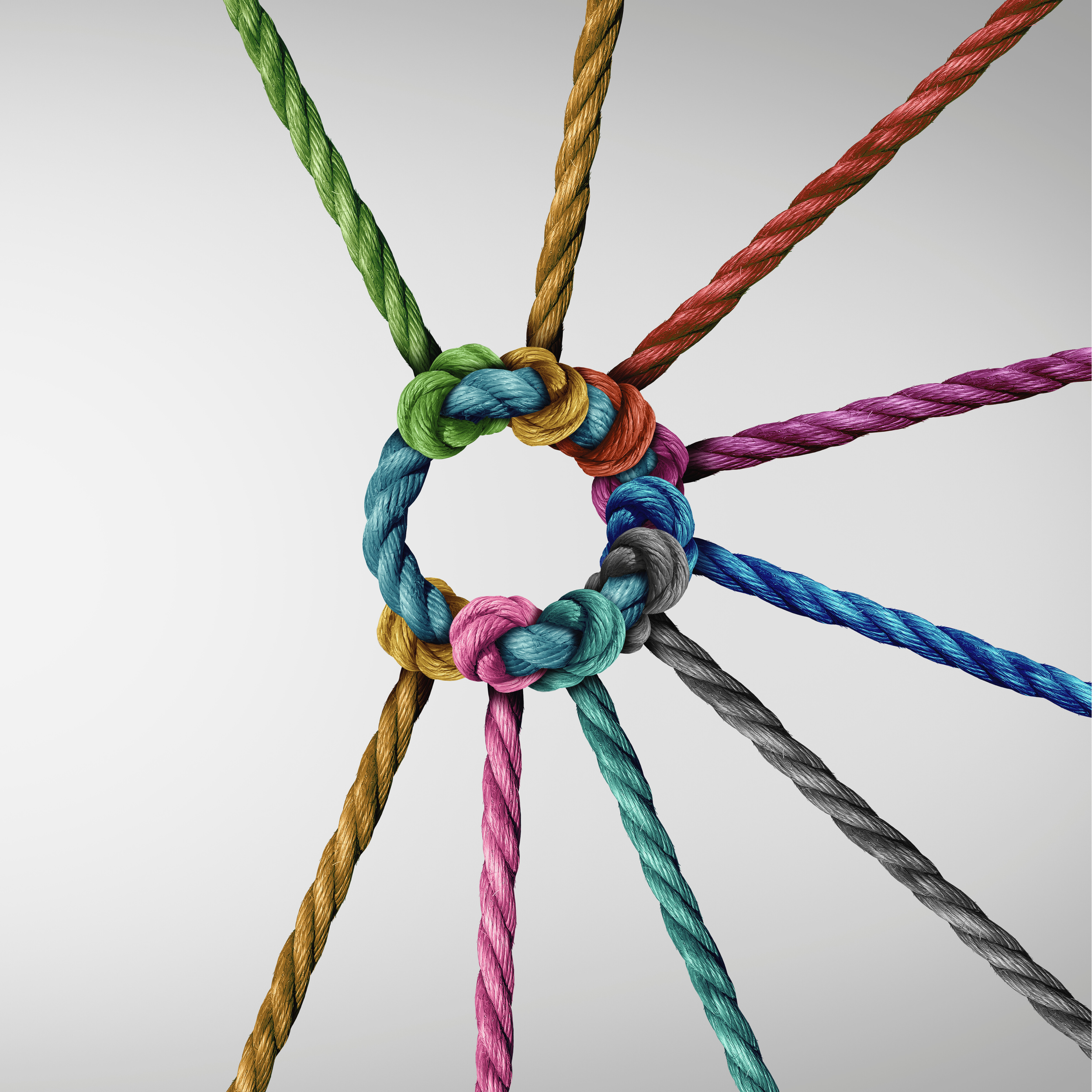 distribuzione WiMIT (2).png