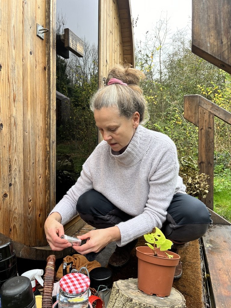 Preparing to tell Spruce: Queen of Snakes, at SSG, Nov 2024
