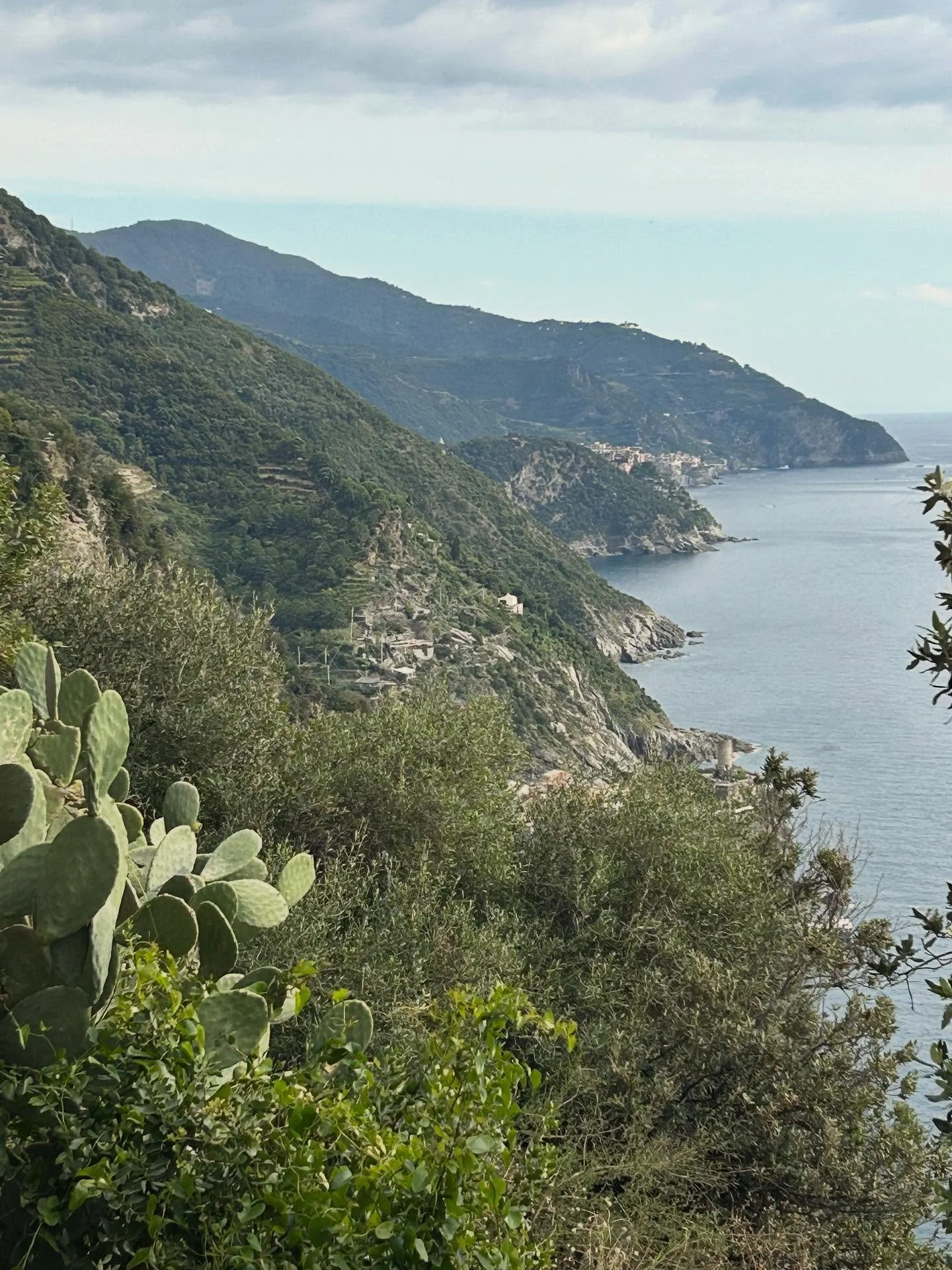 The hike from Monterosso to Vernazza was so worth it! Not a leisurely hike. Lovely little village, amazing food, and epic views.
.
.
#cinqueterre #vernazza #exploringitaly #themediterranean