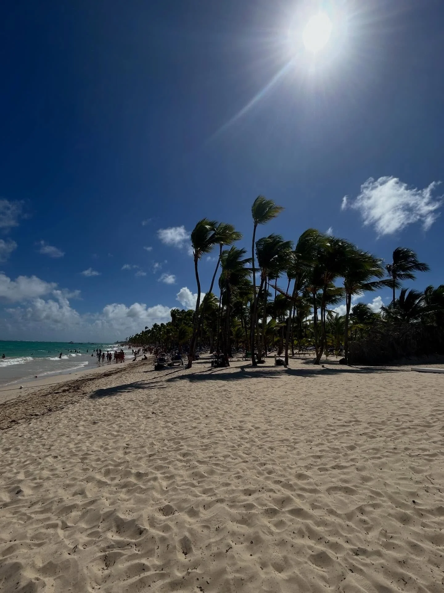 We escaped the cold! Perfect break for some sun and warm paradise air. Taking in the daily beach walks lined with palm trees, listening to the ocean ☀️

#bavaro #dominicanrepublic #beachgetaway #wellness
